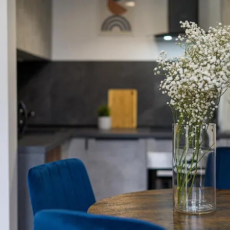 Apartament Citystay Polonia Klimatyzowany Przy Parku Łódź