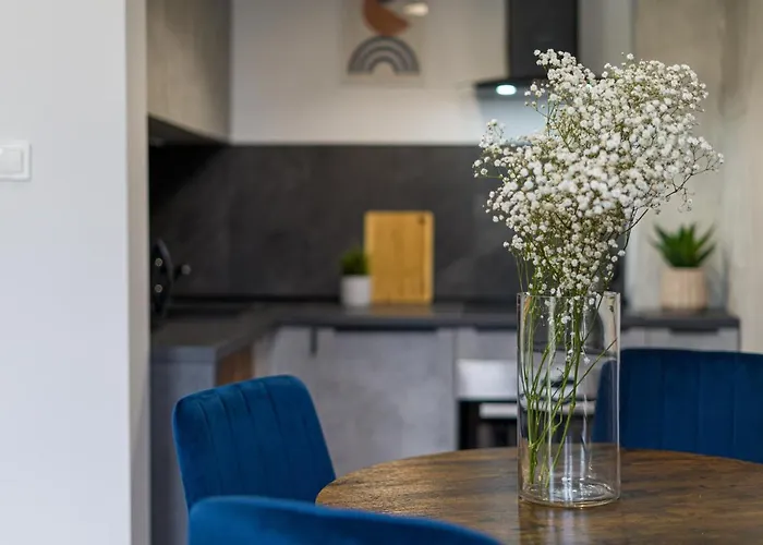 Lejlighed Citystay Polonia Klimatyzowany Przy Parku Łódź